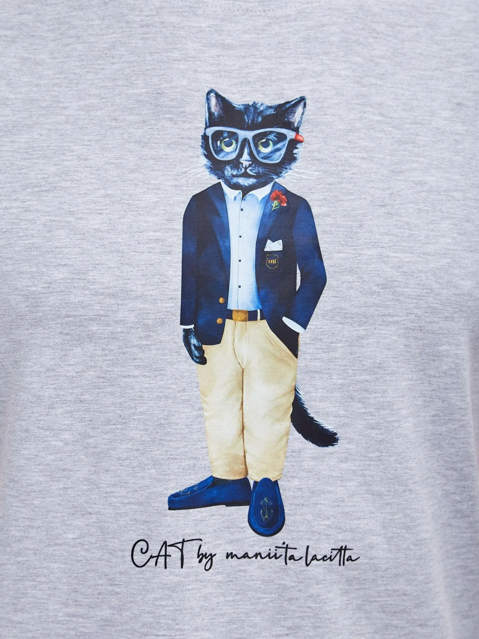 Grey Printed T-shirt REGATTA CAT