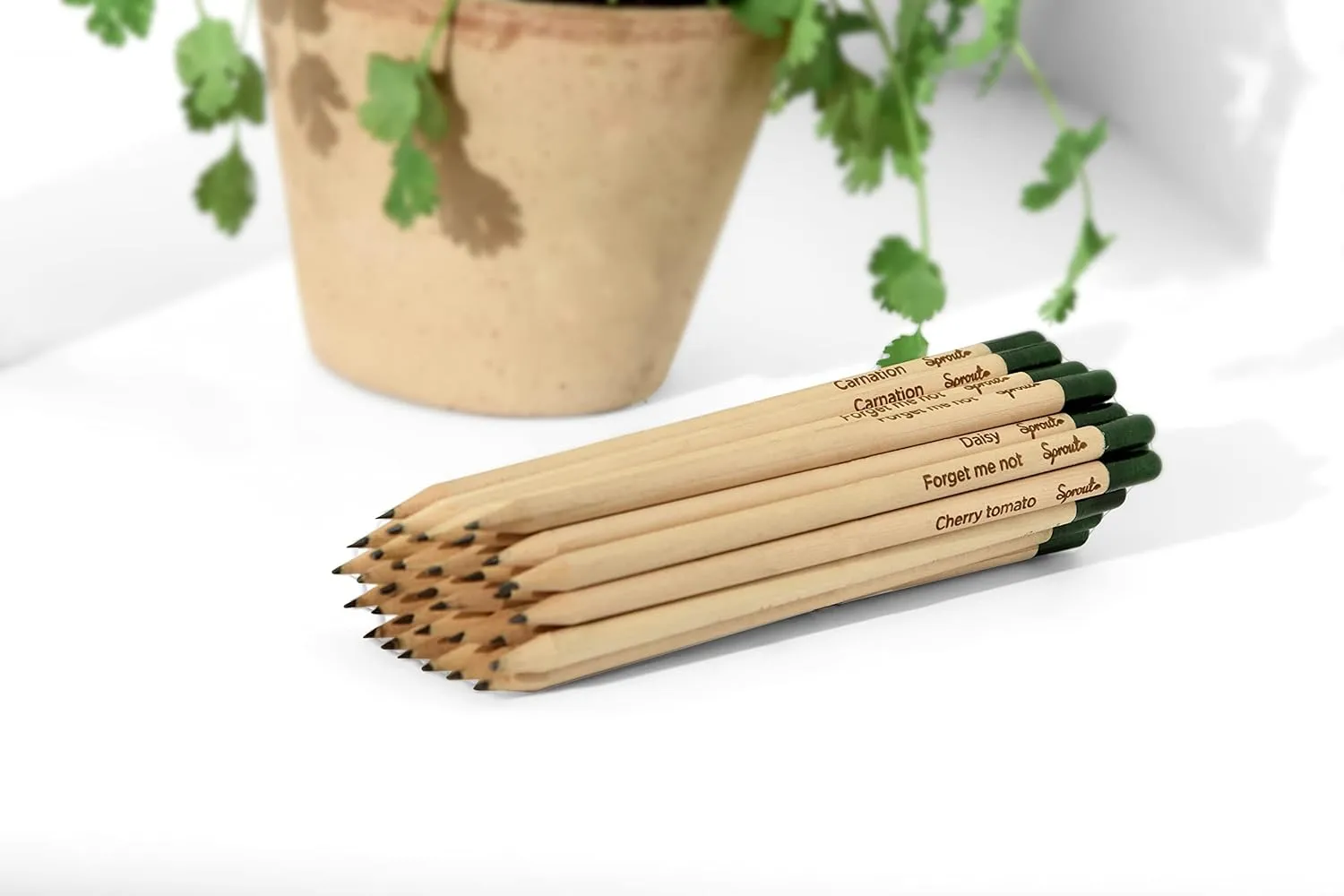 Sprout Plantable Pencils, Pre-Sharpened with Seeds