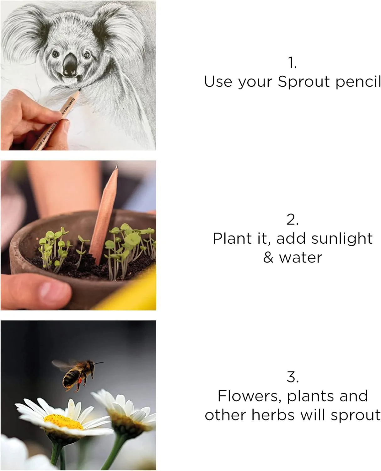 Sprout Plantable Pencils, Pre-Sharpened with Seeds